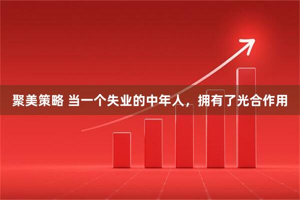 聚美策略 当一个失业的中年人，拥有了光合作用